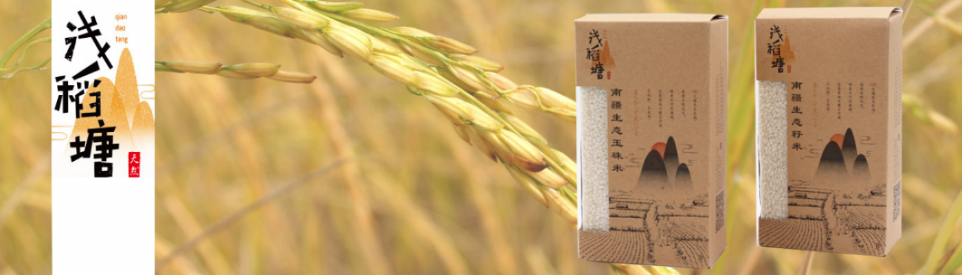 rice -website banner design